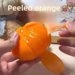 Orange Squishy Toy