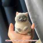 Siamese Cat