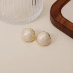 Multicolour Stud Earrings