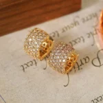 Champagne Star Long Tassel Huggie Earrings