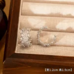 Full Pave Zircon Stud Earrings